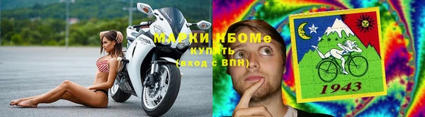 шишки Переславль-Залесский