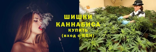 шишки Переславль-Залесский