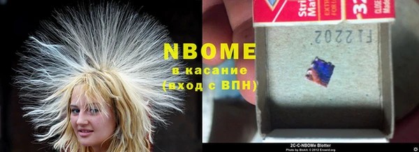шишки Переславль-Залесский