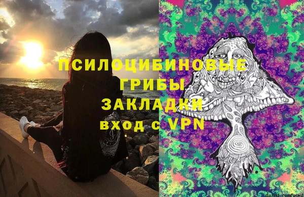 первитин Пестово