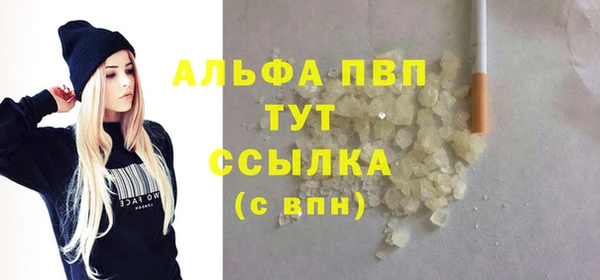 прущие грибы Пересвет