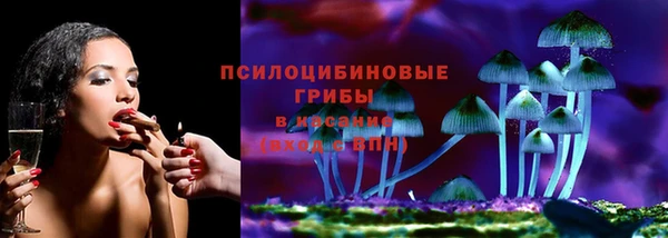 шишки Переславль-Залесский