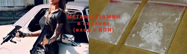 прущие грибы Пересвет