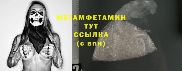 шишки Переславль-Залесский