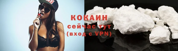 прущие грибы Пересвет