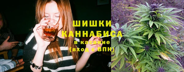 шишки Переславль-Залесский