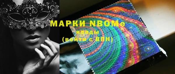 прущие грибы Пересвет