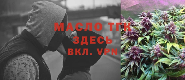 шишки Переславль-Залесский
