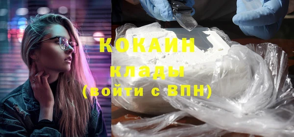 прущие грибы Пересвет