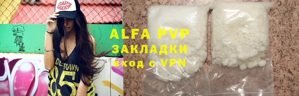 прущие грибы Пересвет