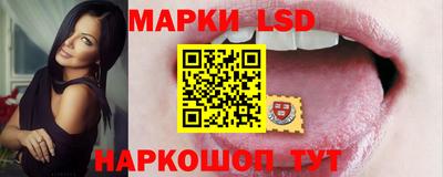 стаф Донецк