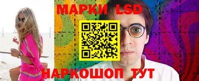 стаф Донецк