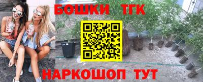 бошки Дубна