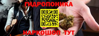 стаф Донецк