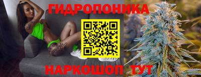 стаф Донецк