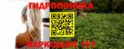 бошки Дубна