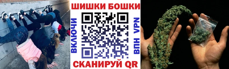 купить наркоту  Зеленокумск  Каннабис сатива 